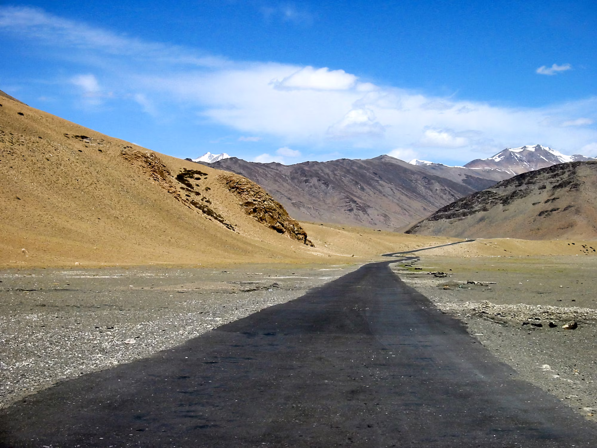 Electric Vehicles and the Future of Sustainable Transportation